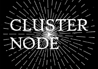 Cluster Node