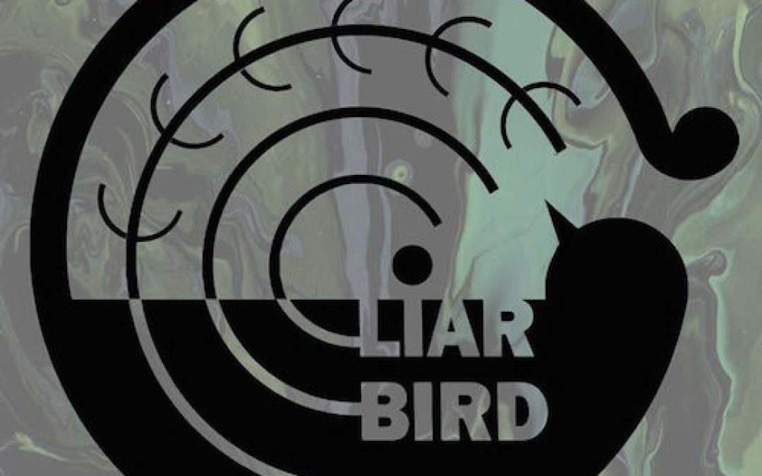Liar Bird Show – PÉLISSANNE